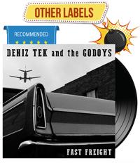 DENIZ TEK & THE GODOYS - Fast Freight