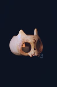 Image 1 of Bone Cat skull 
