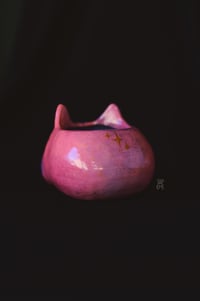 Image 4 of Pink Cat Skull 