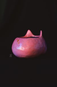 Image 5 of Pink Cat Skull 