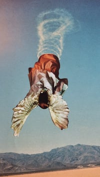 Image 2 of 'The Angels Fell'