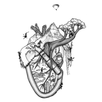 Image 3 of Follow your Heart - transparent sticker