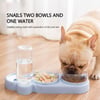 DuoServe Automatic Pet Feeder with Multi-Functional Double Bowl