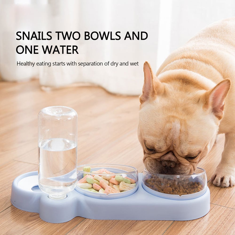 DuoServe Automatic Pet Feeder with Multi-Functional Double Bowl