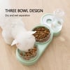 DuoServe Automatic Pet Feeder with Multi-Functional Double Bowl