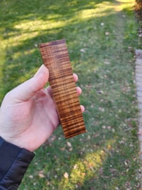 Tasmanian Blackwood 1