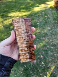 Image 2 of Tasmanian Blackwood 3