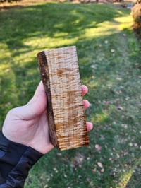 Image 2 of Tasmanian Blackwood 4