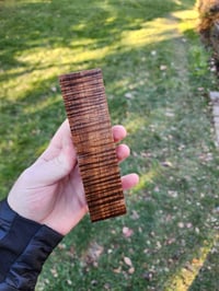 Image 2 of Tasmanian Blackwood 6