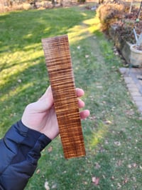 Image 1 of Tasmanian Blackwood 7