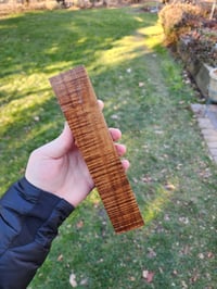 Image 2 of Tasmanian Blackwood 7