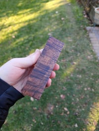 Image 2 of Tasmanian Blackwood 8