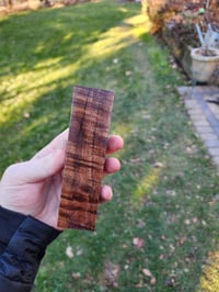 Image 1 of Tasmanian Blackwood 8