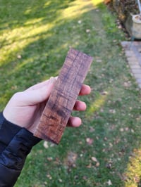 Image 4 of Tasmanian Blackwood 8