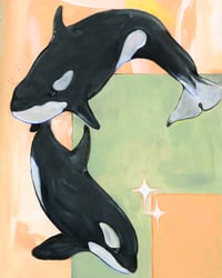 Killer Whales | PRINT 