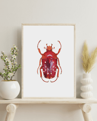 Image 2 of Stephanorrhina Adelpha Watercolor Illustration PRINT 