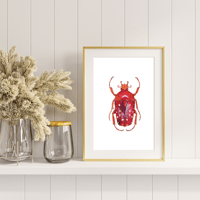 Image 3 of Stephanorrhina Adelpha Watercolor Illustration PRINT 