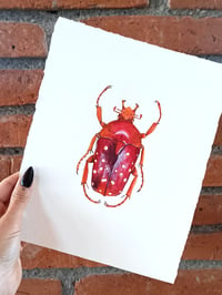 Image 4 of Stephanorrhina Adelpha Watercolor Illustration PRINT 