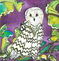 Owl in a Poncho