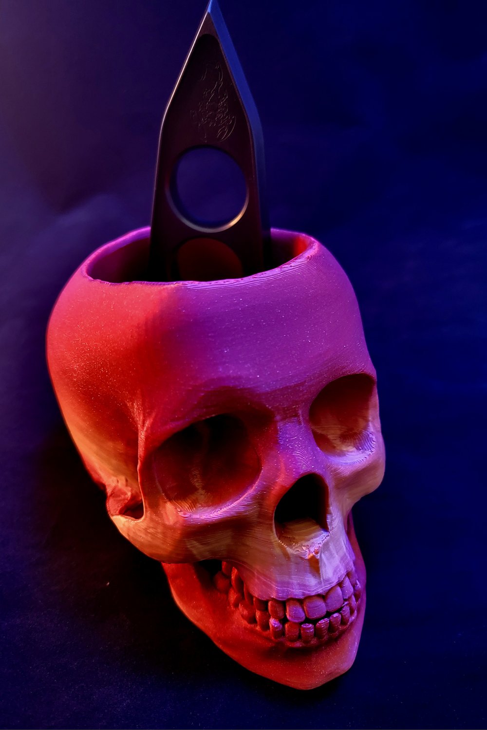 Skull pen holder