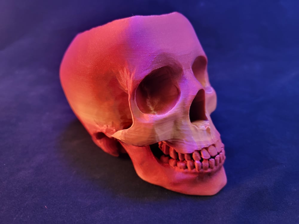 Skull pen holder