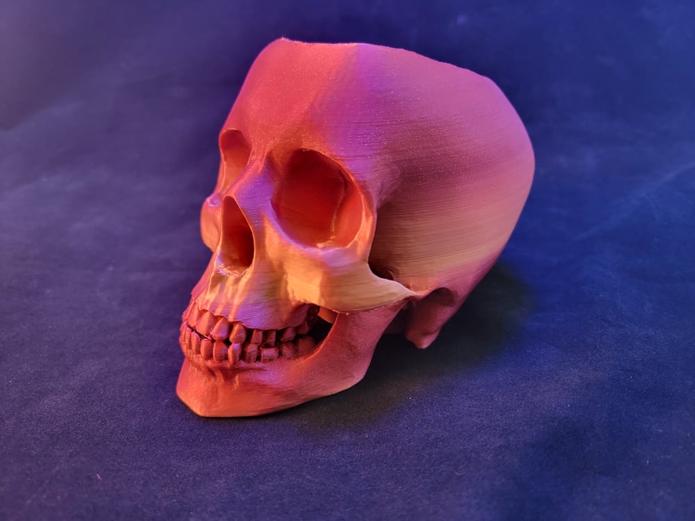 Skull pen holder