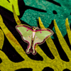 Luna Moth - Little Critters Acrylic Pin