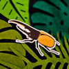 Hercules Beetle Sticker