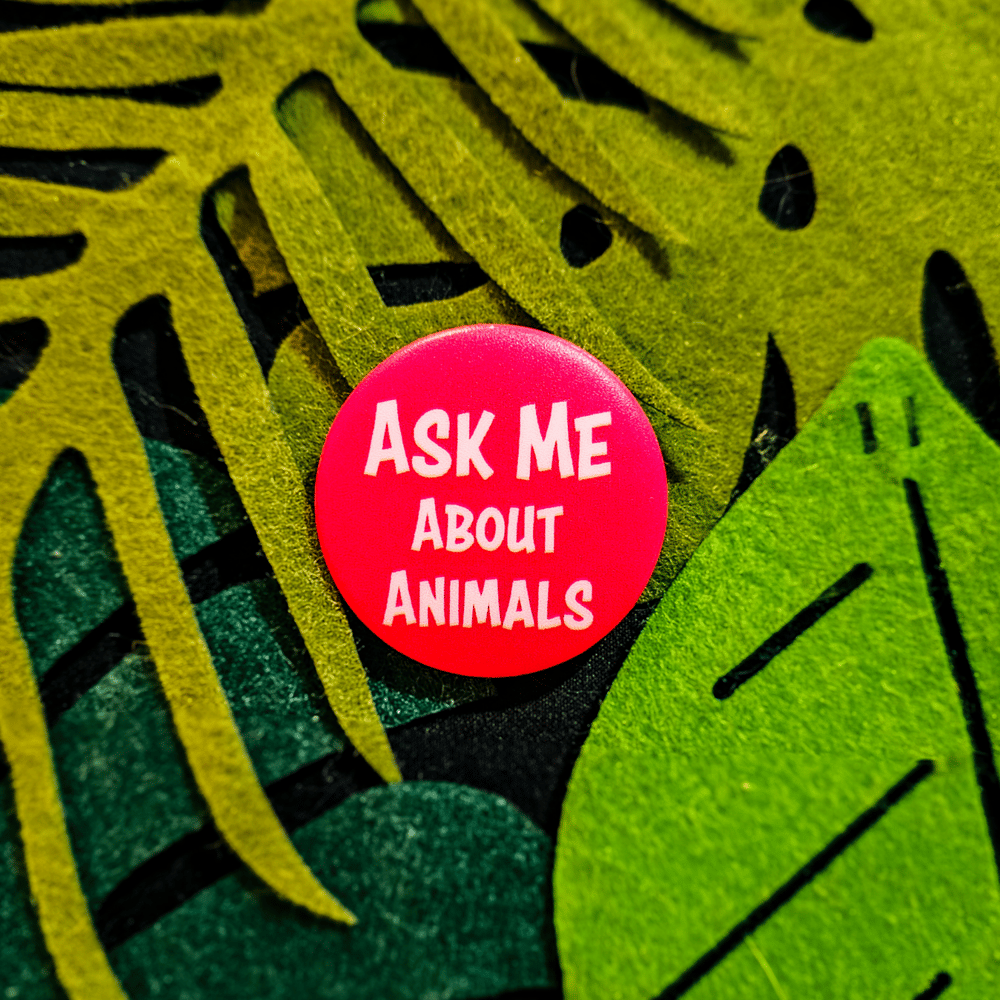 "Ask Me About" Button Badges