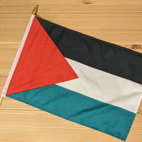 Palestine Flag