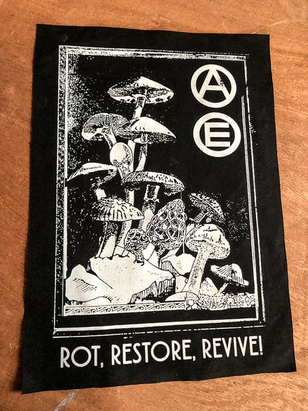Image of 'Rot restore revive; back patch