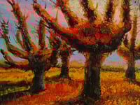 Image 2 of Los robles manos / The oaks hands