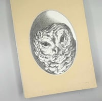 Image 2 of Strix varia – Barred Owl graphite drawing