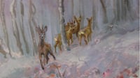 Image 3 of Corzos en la nieve 1 / Roe deer in the snow 1