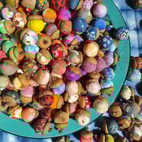 acorn