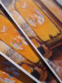 Image 4 of The Bear (RA Summer Exhibition 2024) 