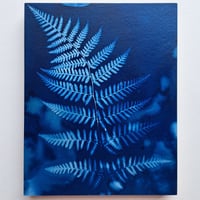 fern on panel 