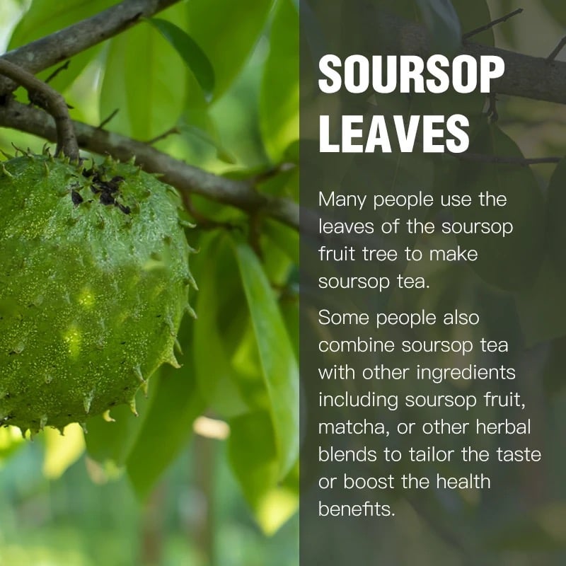 Image of Sour Sop Leaf Tea 