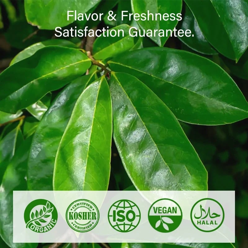 Image of Sour Sop Leaf Tea 