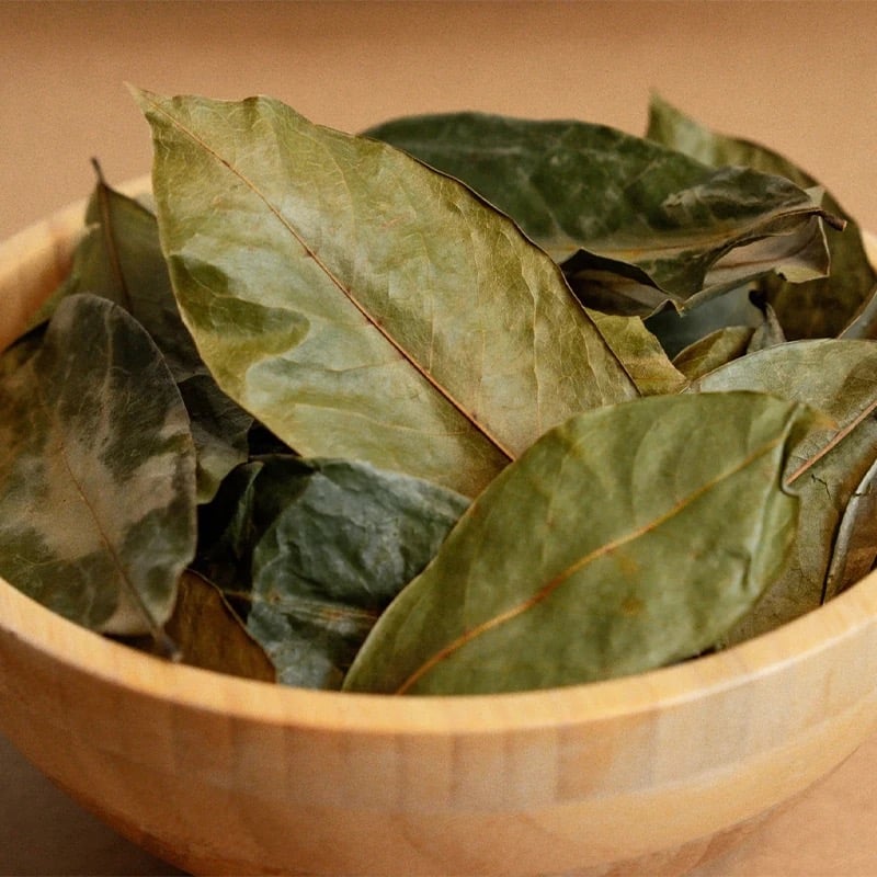 Image of Sour Sop Leaf Tea 