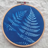 new york fern