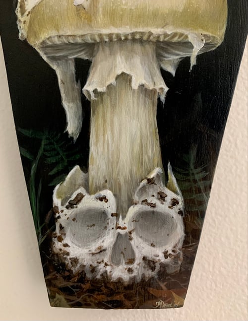 Image of Death Cap 