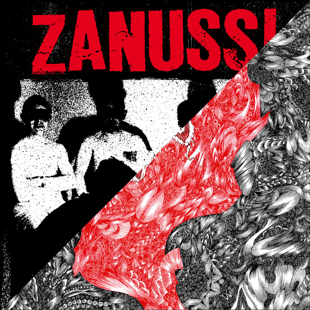 Image of LADV196 - ZANUSSI / ATOMIZADOR "split" 7"