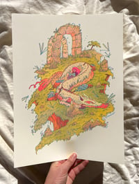 Image 1 of The Book Dragon - Large Riso Print