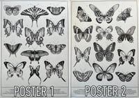 Butterflies A3 prints 