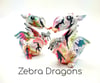Zebra Dragons 