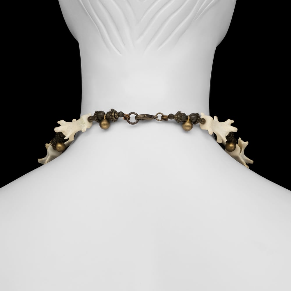 Image of "Vydra" Skull and Vertebrae Necklace