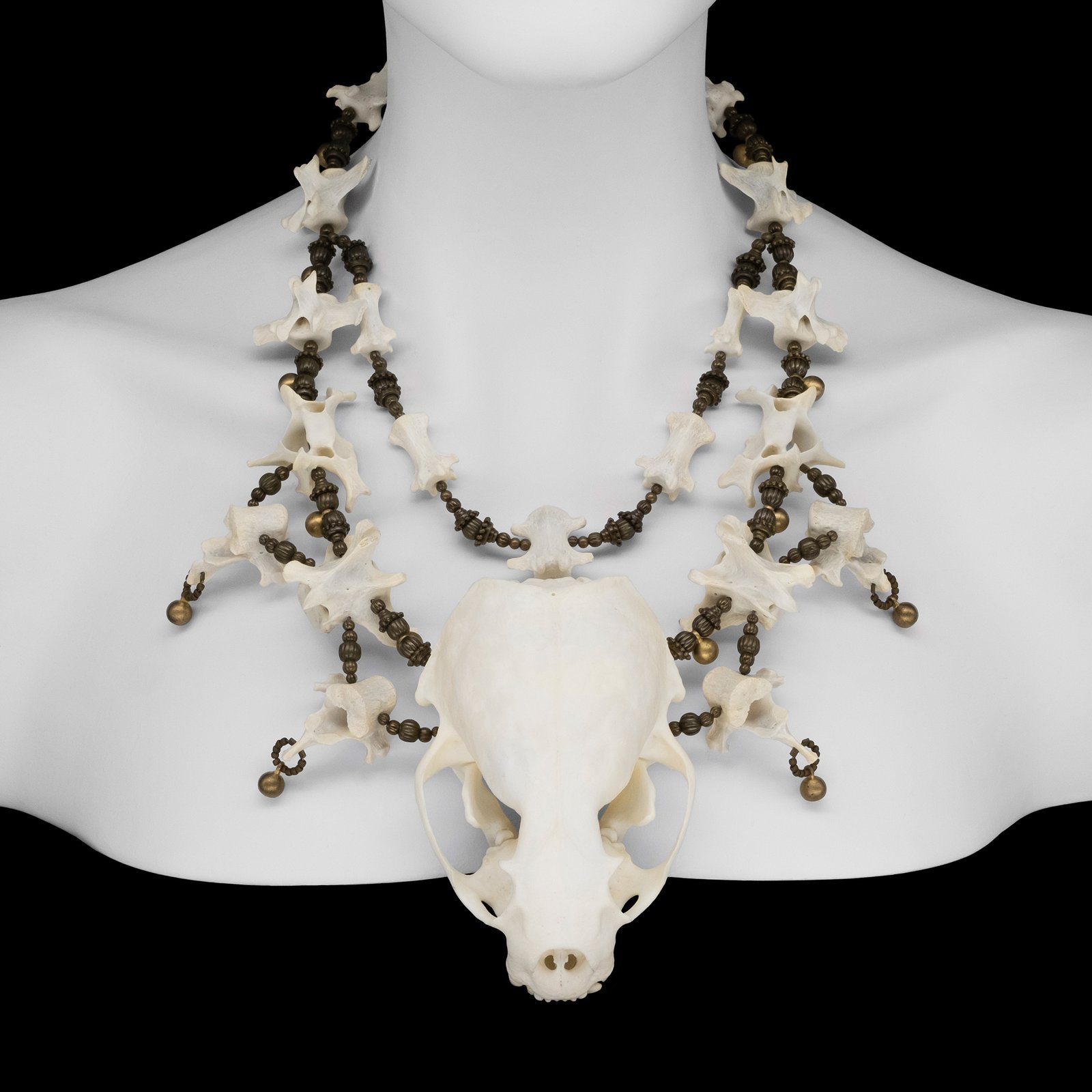 here’s(heres) CETACEA BONE NECKLACE CETACEA BONE NECKLACE – h'eres