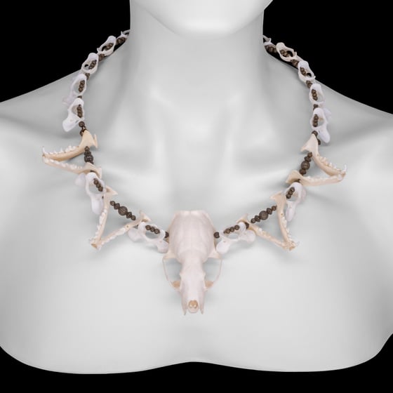 Image of "Vanjie" Skull and Jaw Bone Necklace