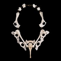 Image 4 of "Vanni" Dog Bone Necklace